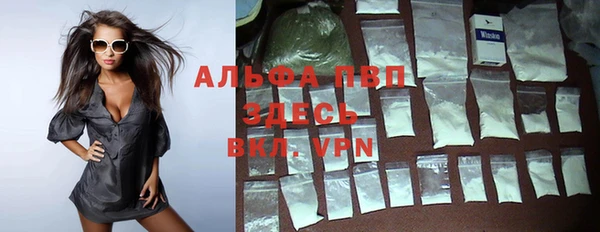 сатива Арсеньев