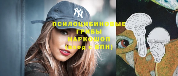 сатива Арсеньев